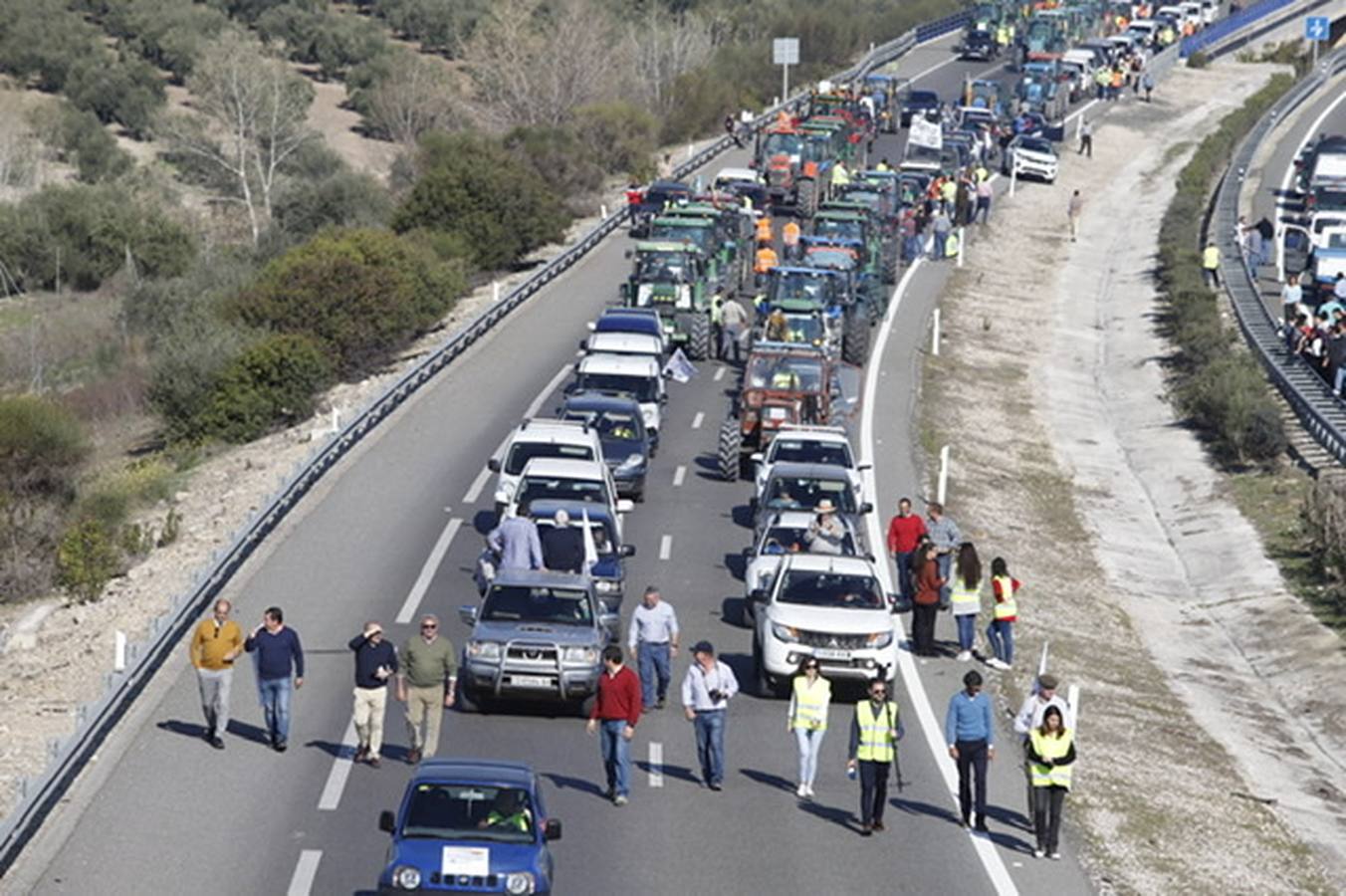 La marcha de agricultores y ganaderos en Lucena, en imágenes (I)