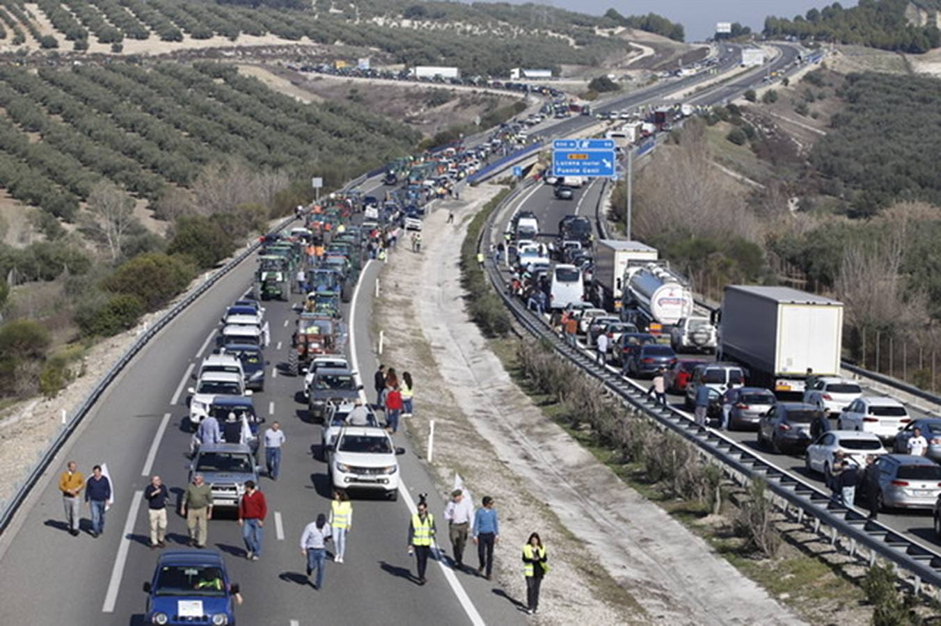 La marcha de agricultores y ganaderos en Lucena, en imágenes (I)