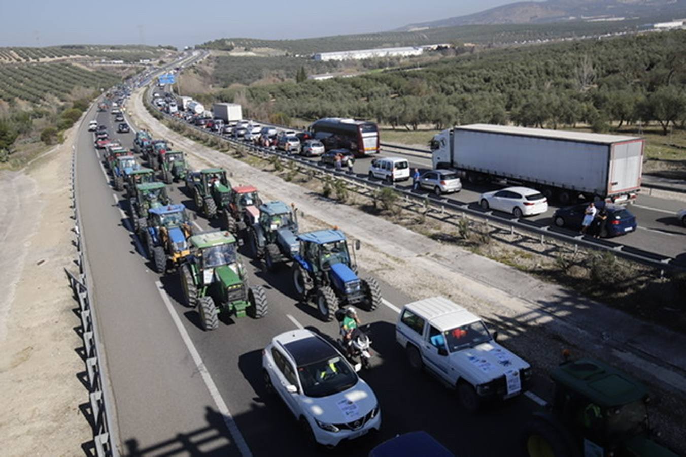 La marcha de agricultores y ganaderos en Lucena, en imágenes (I)