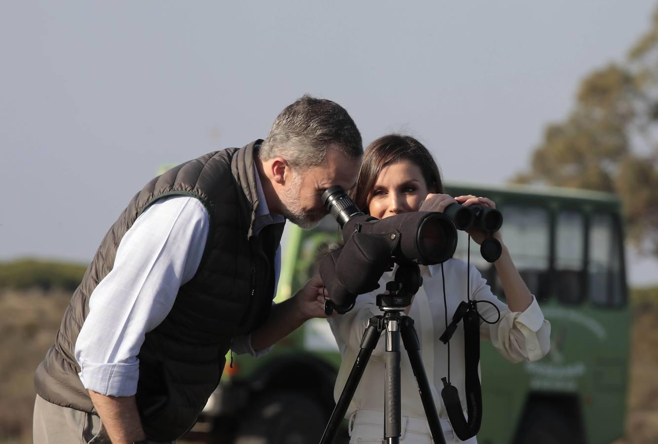 Los Reyes de España visitan Doñana