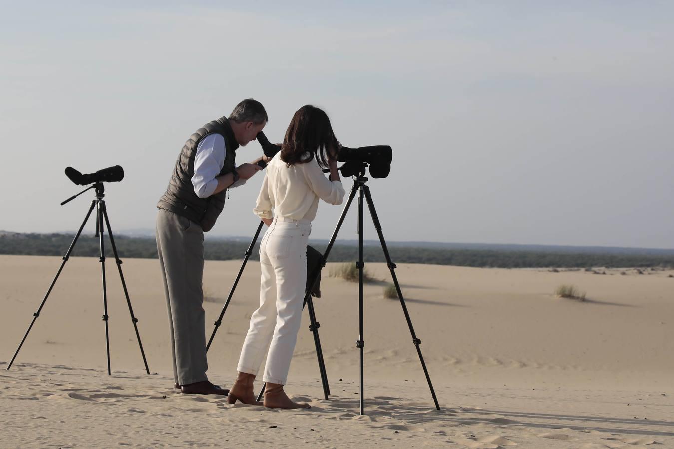 Los Reyes de España visitan Doñana