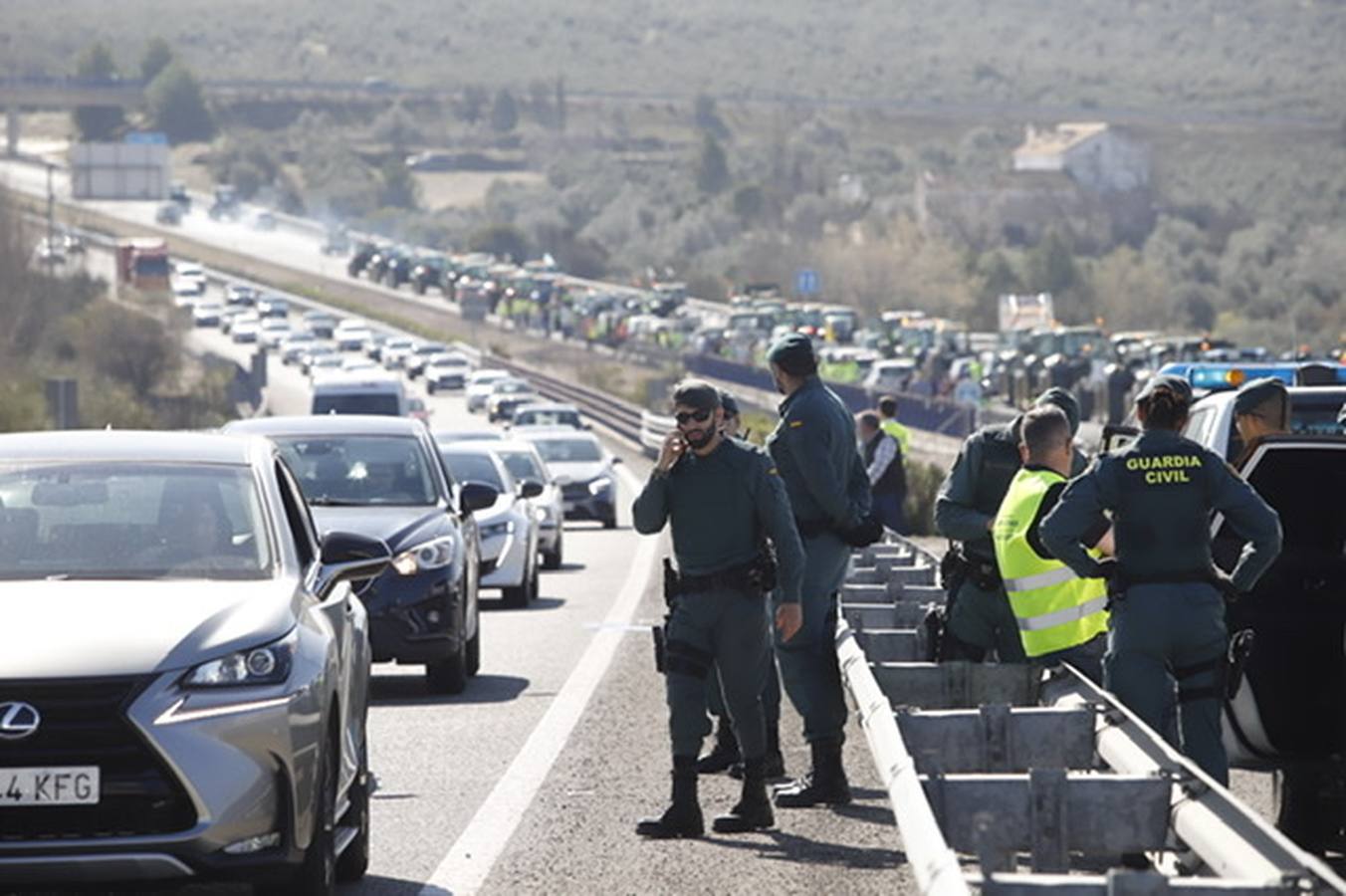 La marcha de agricultores y ganaderos en Lucena, en imágenes (II)