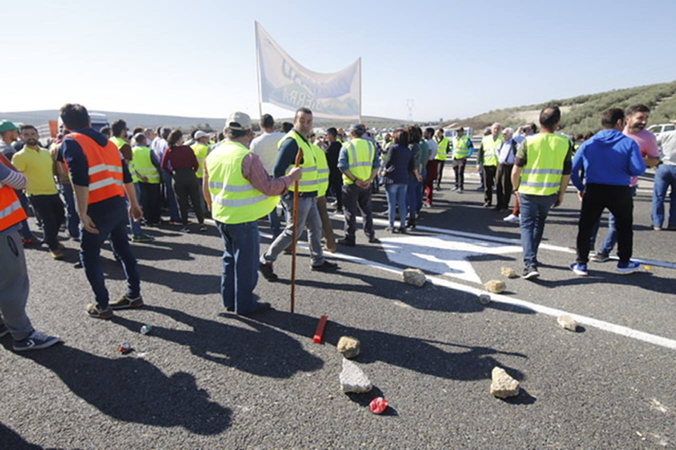 La marcha de agricultores y ganaderos en Lucena, en imágenes (II)