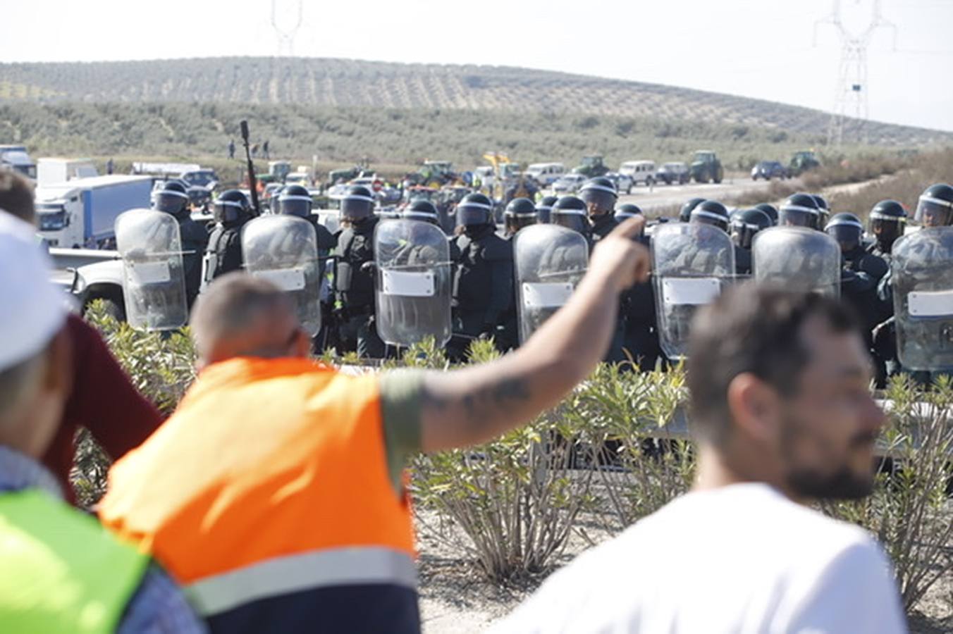 La marcha de agricultores y ganaderos en Lucena, en imágenes (II)