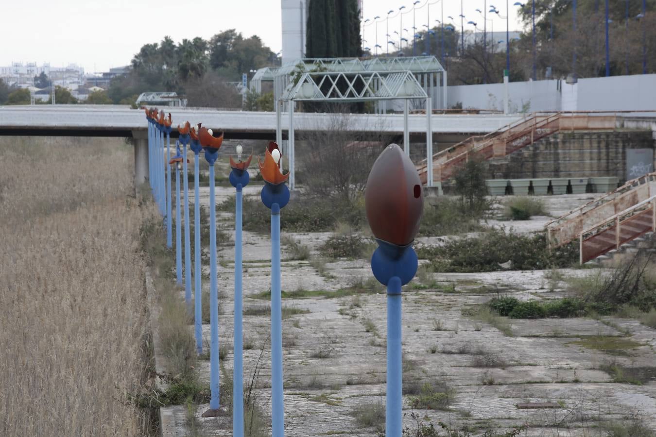 La desidia en la Isla de la Cartuja de Sevilla, en imágenes