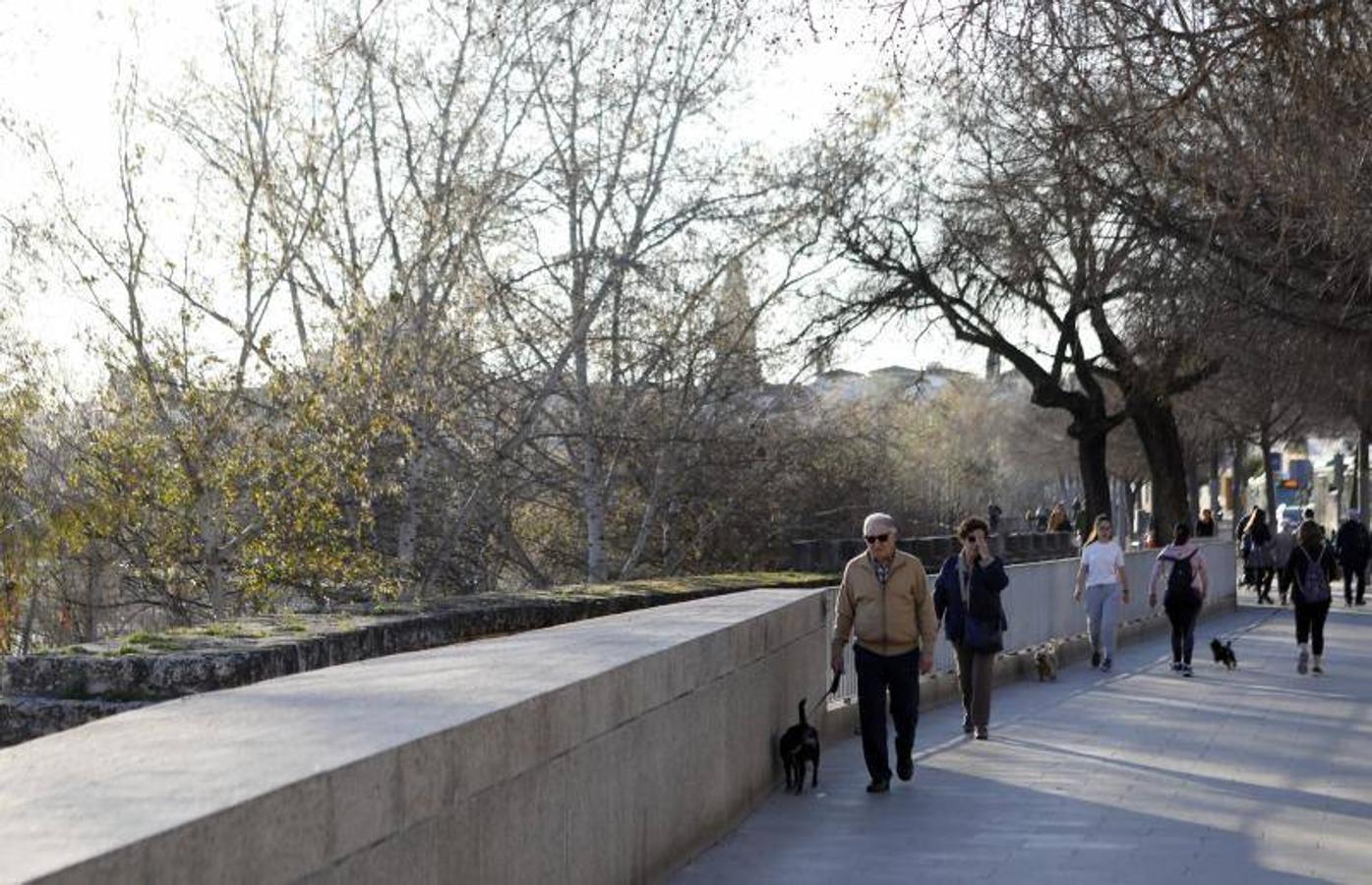 La calle Ronquillo Briceño de Córdoba, en imágenes