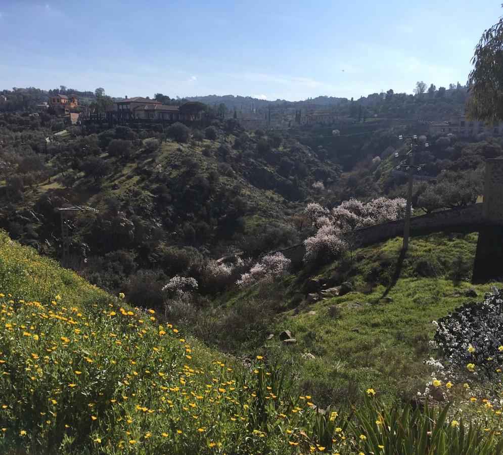 En imágenes: los almendros en flor del Valle de Toledo