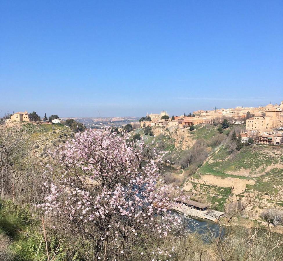 En imágenes: los almendros en flor del Valle de Toledo