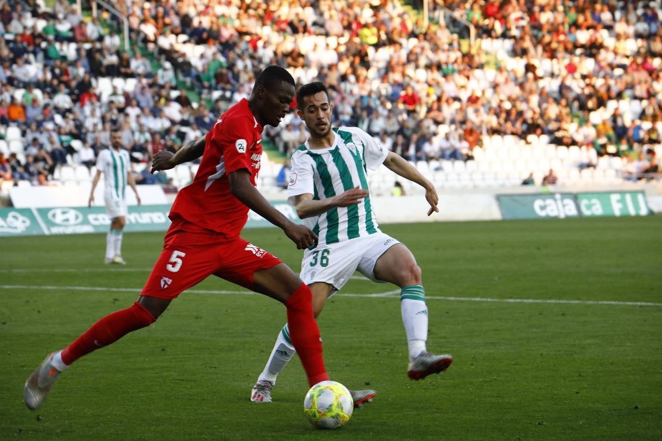 El Córdoba CF-Sevilla Atlético, en imágenes