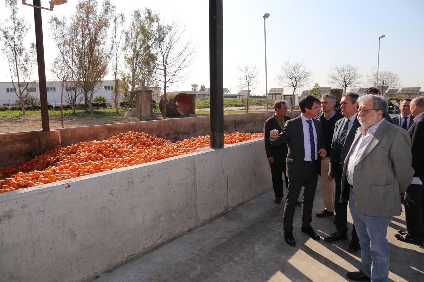 La depuradora del Copero funciona con naranjas amargas