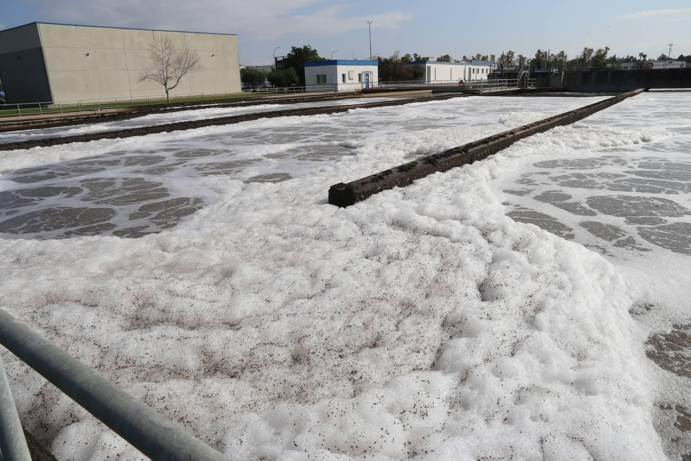 La depuradora del Copero funciona con naranjas amargas