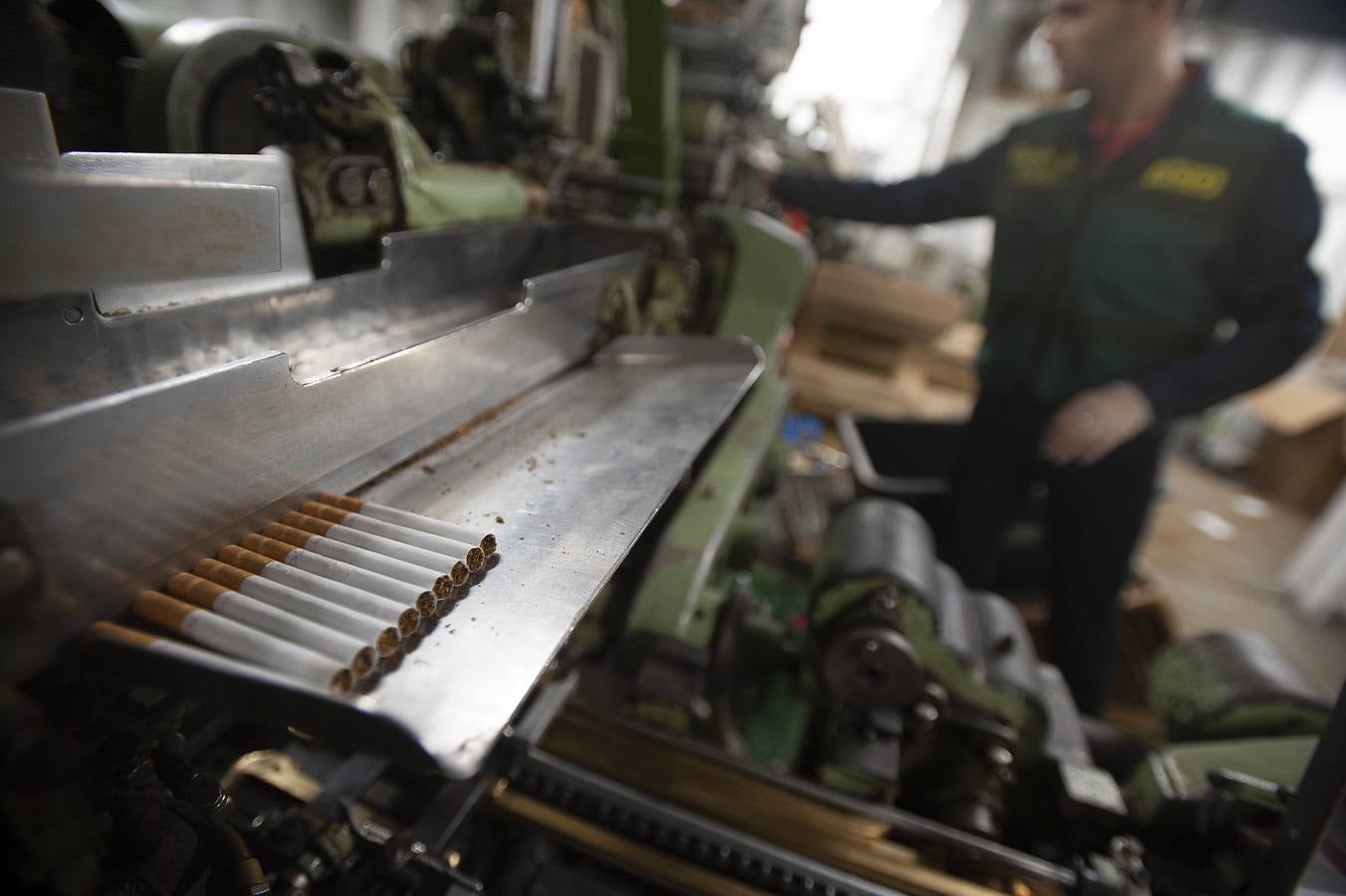 Desmantelada en Málaga la primera fábrica de tabaco subterránea de Europa