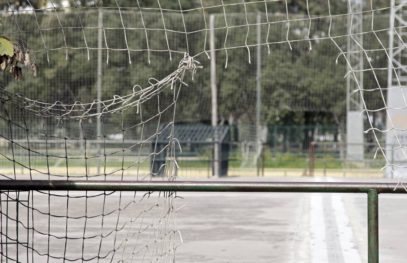 Centro deportivo  Parque Amate