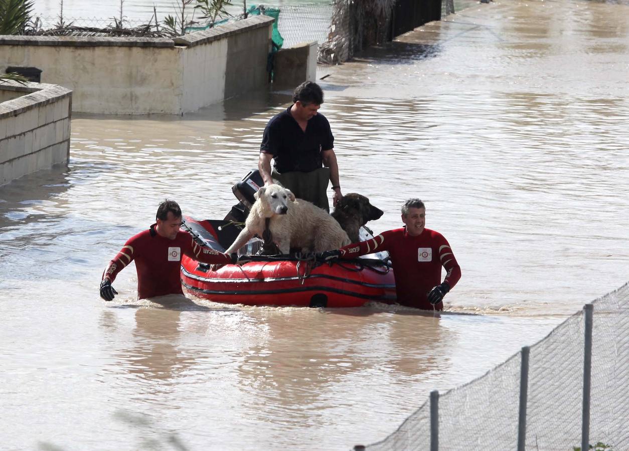 Las inundaciones de febrero de 2010 en Córdoba, en imágenes