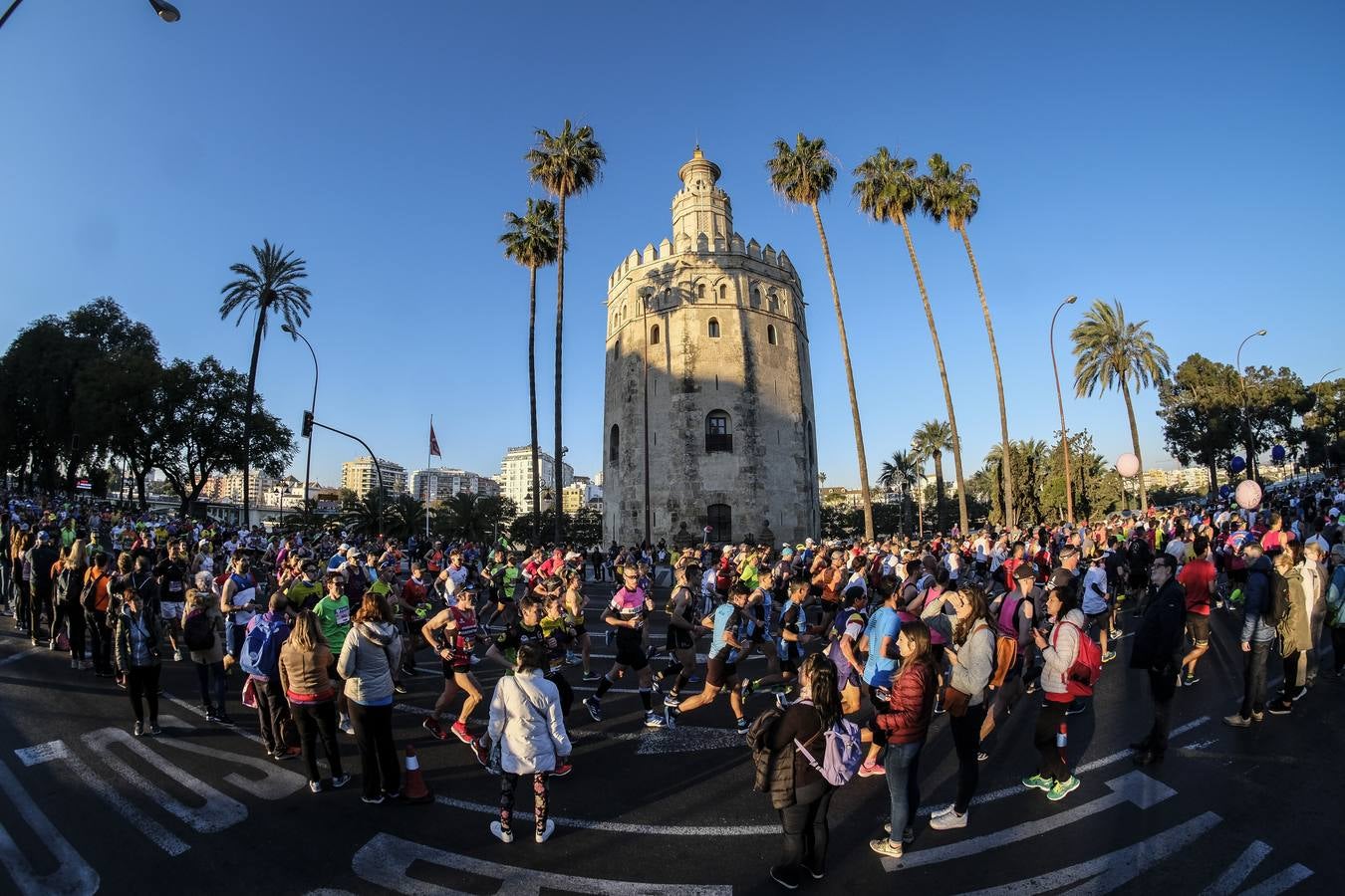 ¿Has corrido el Zurich Maratón Sevilla 2020? ¡Búscate! (VIII)