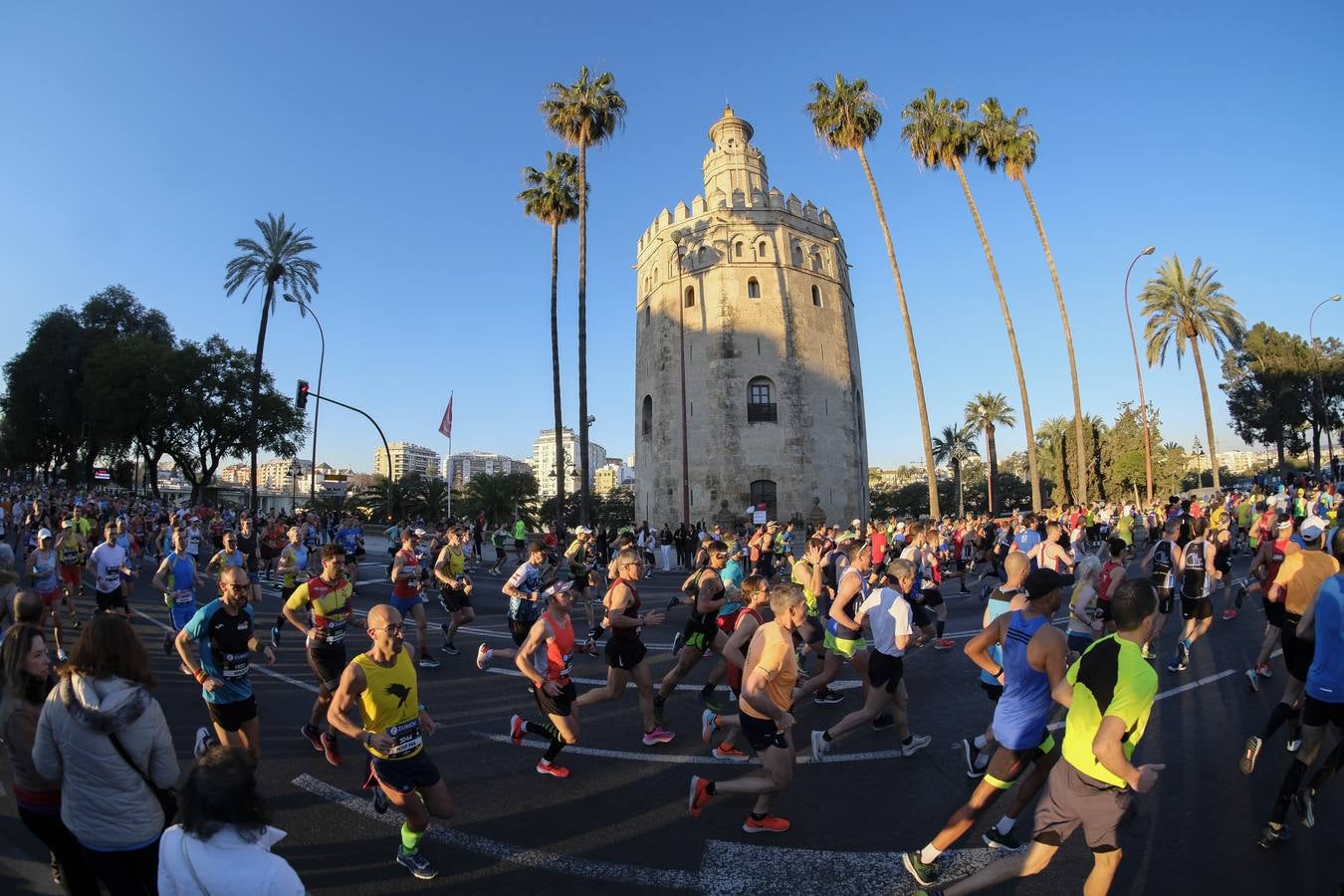 ¿Has corrido el Zurich Maratón Sevilla 2020? ¡Búscate! (VII)