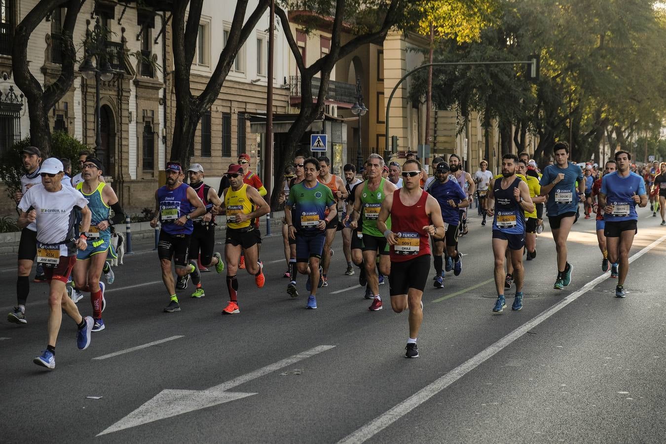 ¿Has corrido el Zurich Maratón Sevilla 2020? ¡Búscate! (y XII)