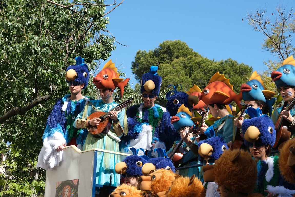 FOTOS: Lleno en Cádiz el Domingo de coros de Carnaval