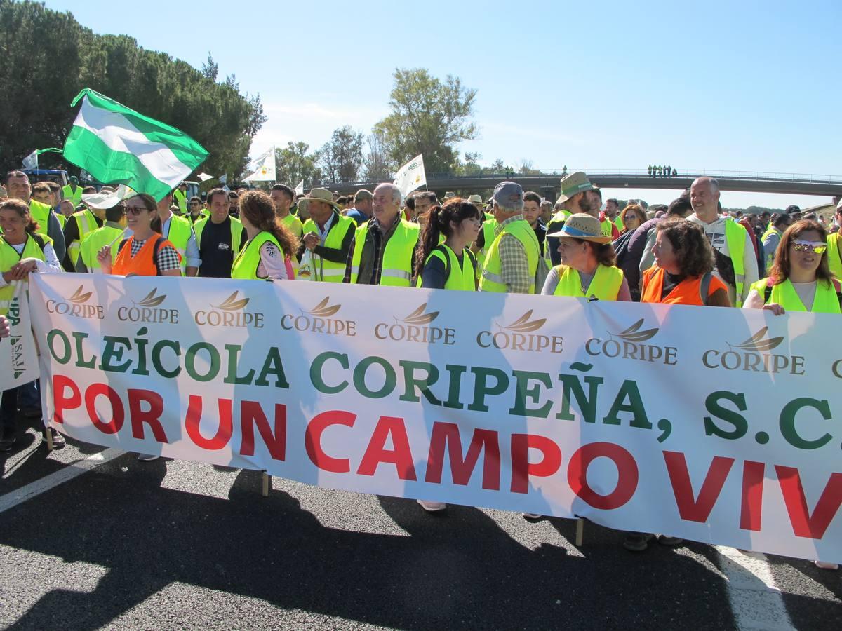 Fotogalería: los tractores, en la autopista de Sevilla-Cádiz, AP-4