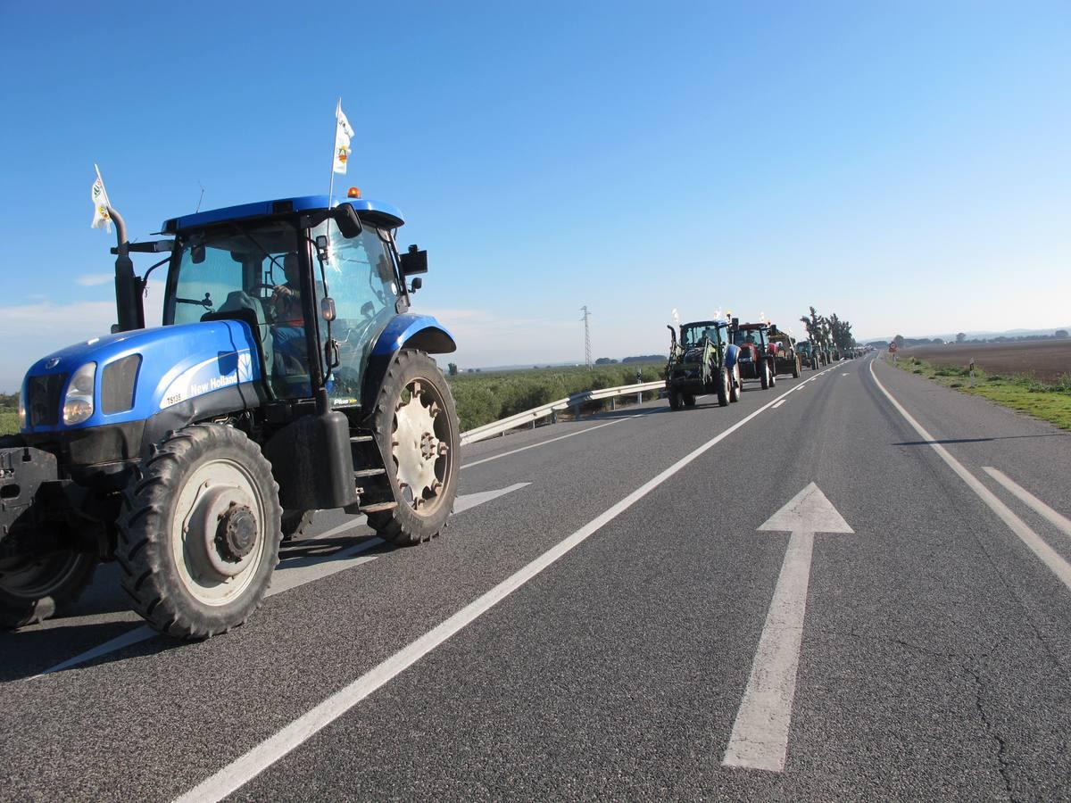 Fotogalería: los tractores, en la autopista de Sevilla-Cádiz, AP-4