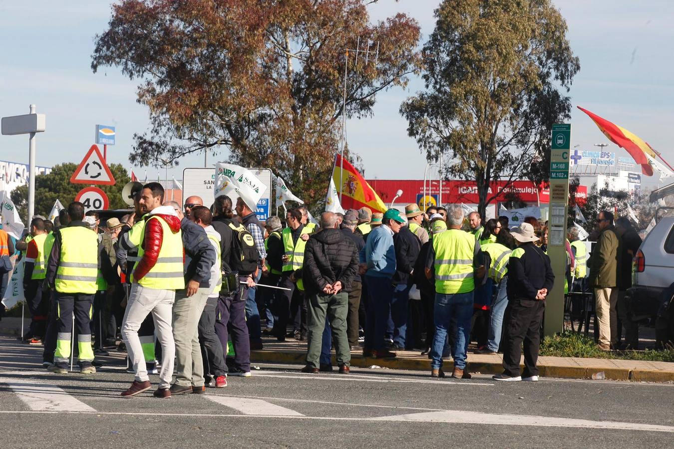 La tractorada corta la autovía que une Sevilla y Huelva, la A-49, en imágenes