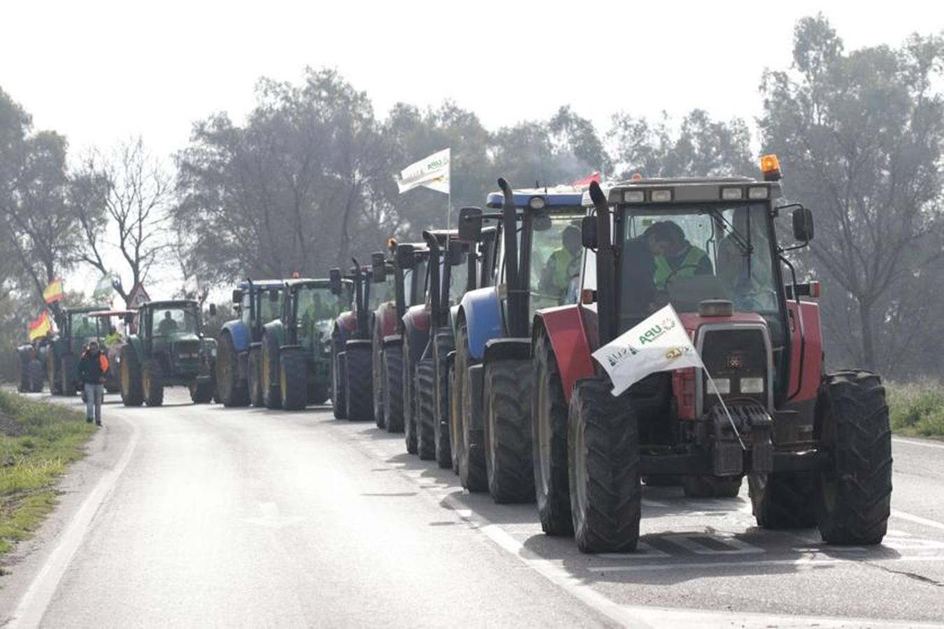 En imágenes, la tractorada de agricultores en la autovía A-4