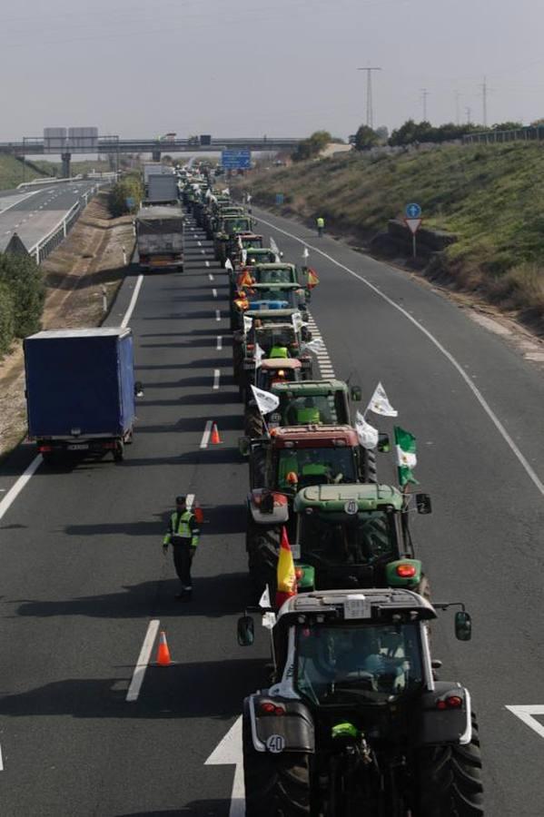 En imágenes, la tractorada de agricultores en la autovía A-4