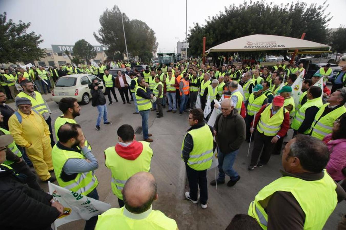 En imágenes, la tractorada de agricultores en la autovía A-4