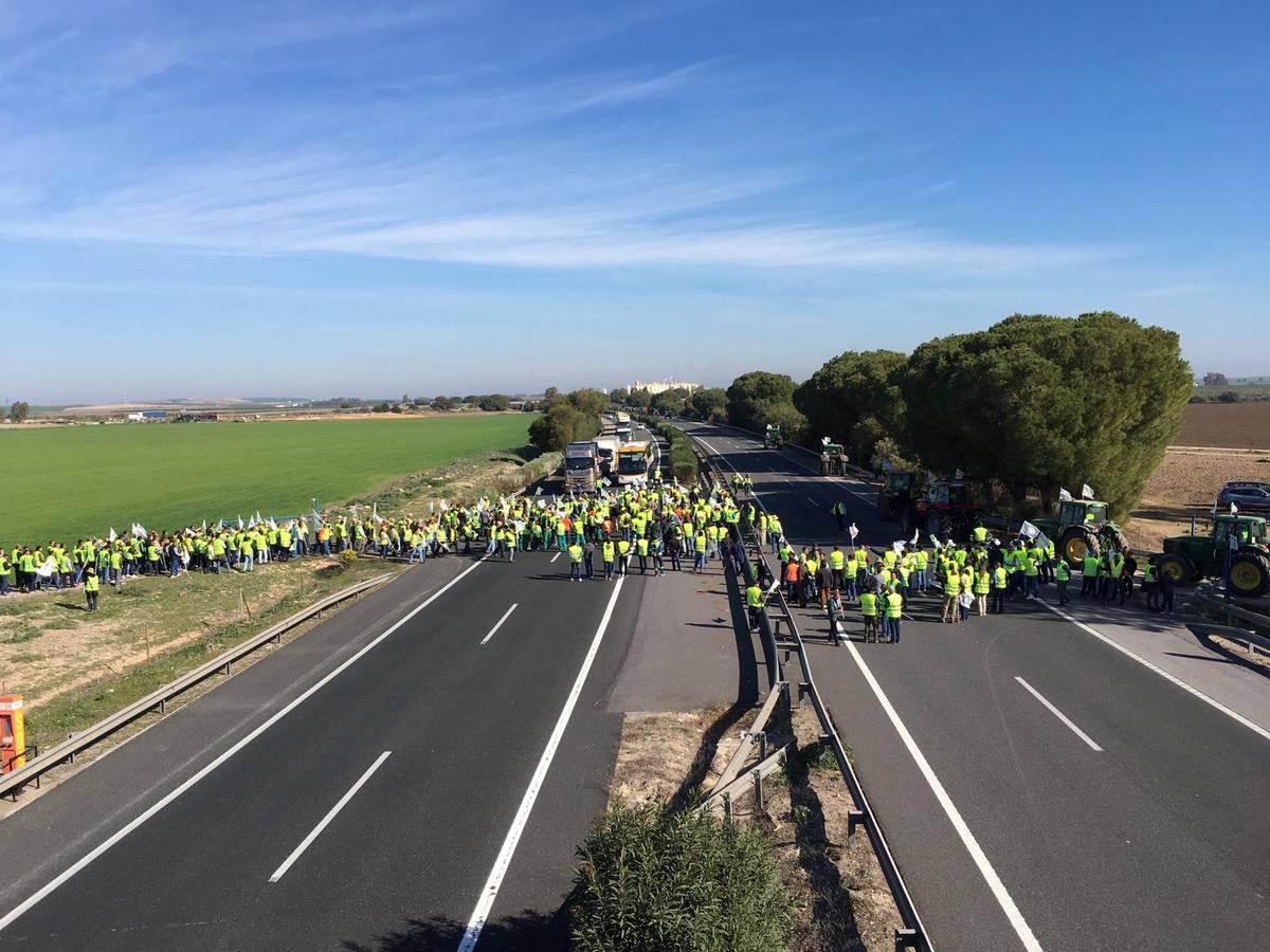 Fotogalería: los tractores, en la autopista de Sevilla-Cádiz, AP-4