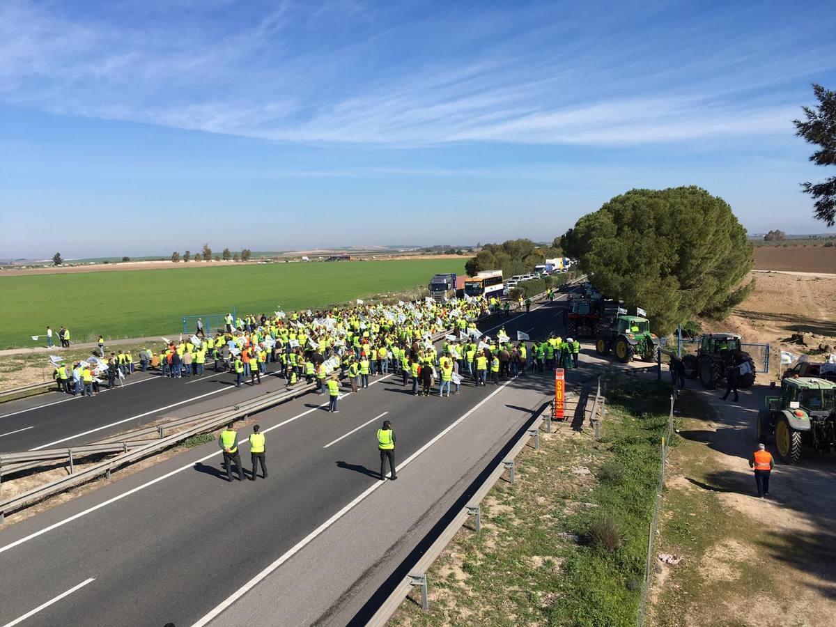 Agricultores de la AP-4: «No podemos asumir los mismos precios de hace 30 años»