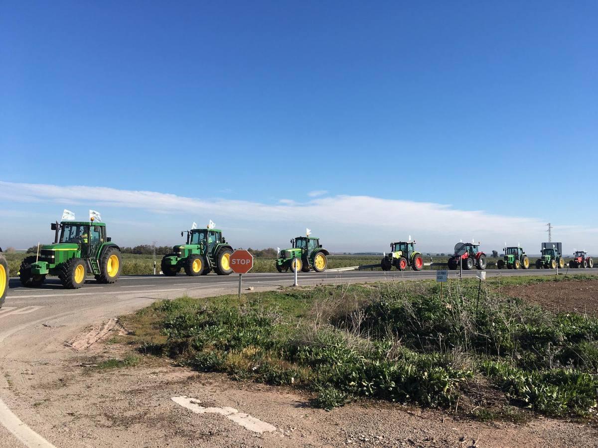 Fotogalería: los tractores, en la autopista de Sevilla-Cádiz, AP-4