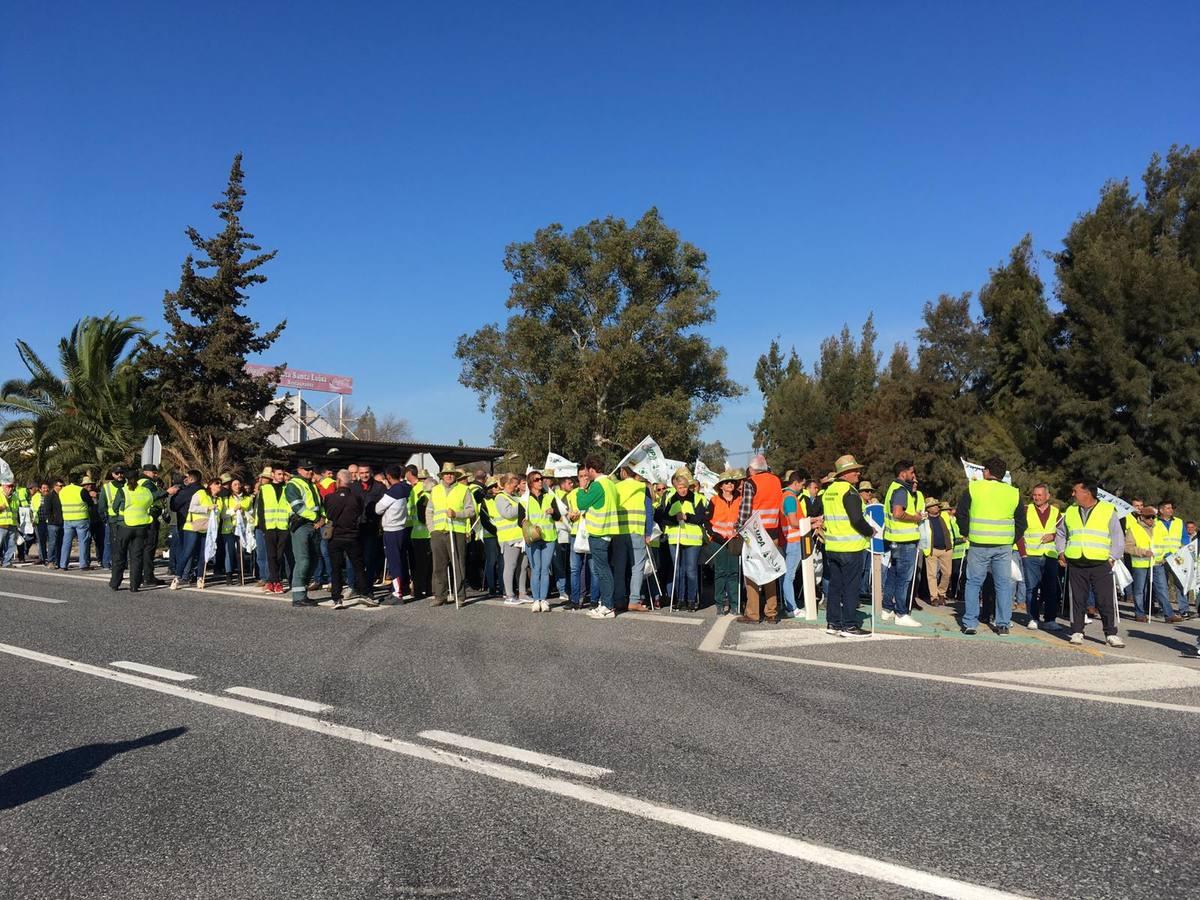 Fotogalería: los tractores, en la autopista de Sevilla-Cádiz, AP-4