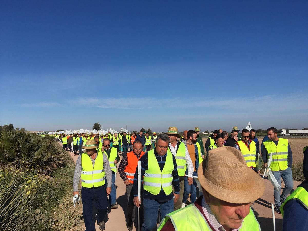 Fotogalería: los tractores, en la autopista de Sevilla-Cádiz, AP-4