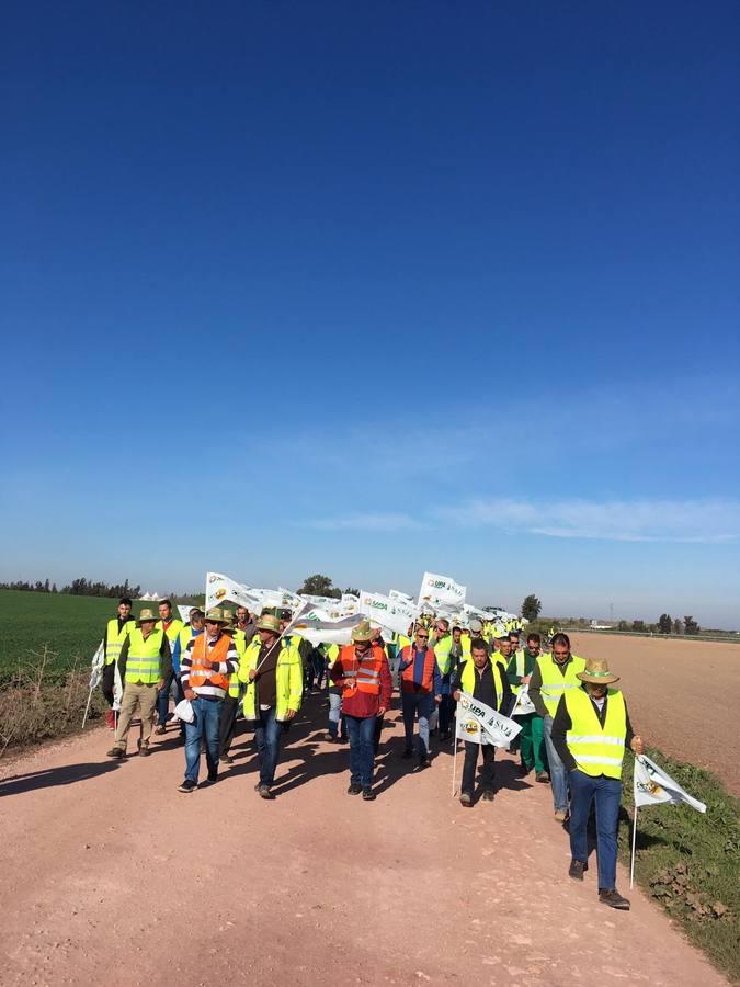 Fotogalería: los tractores, en la autopista de Sevilla-Cádiz, AP-4