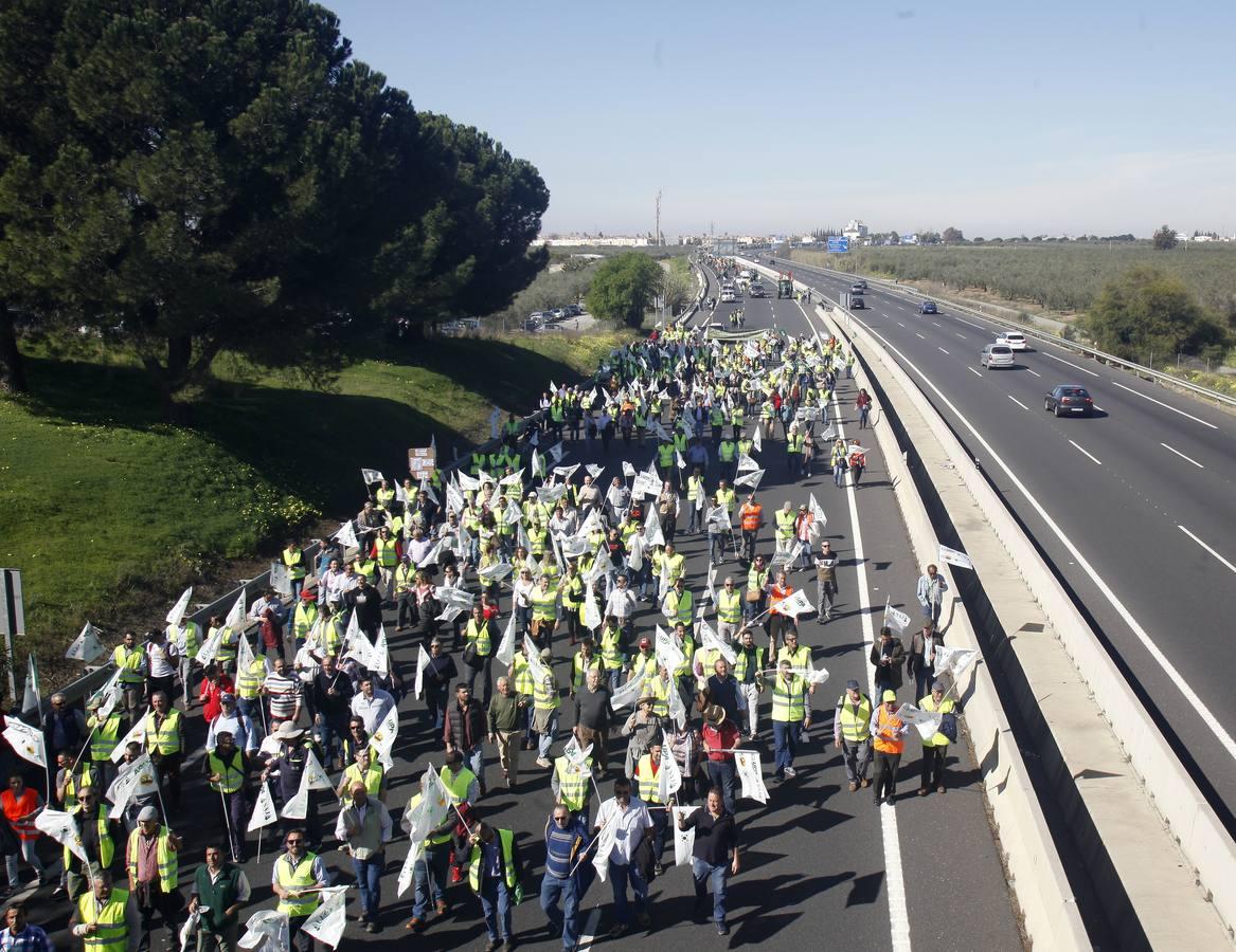 La tractorada corta la autovía que une Sevilla y Huelva, la A-49, en imágenes