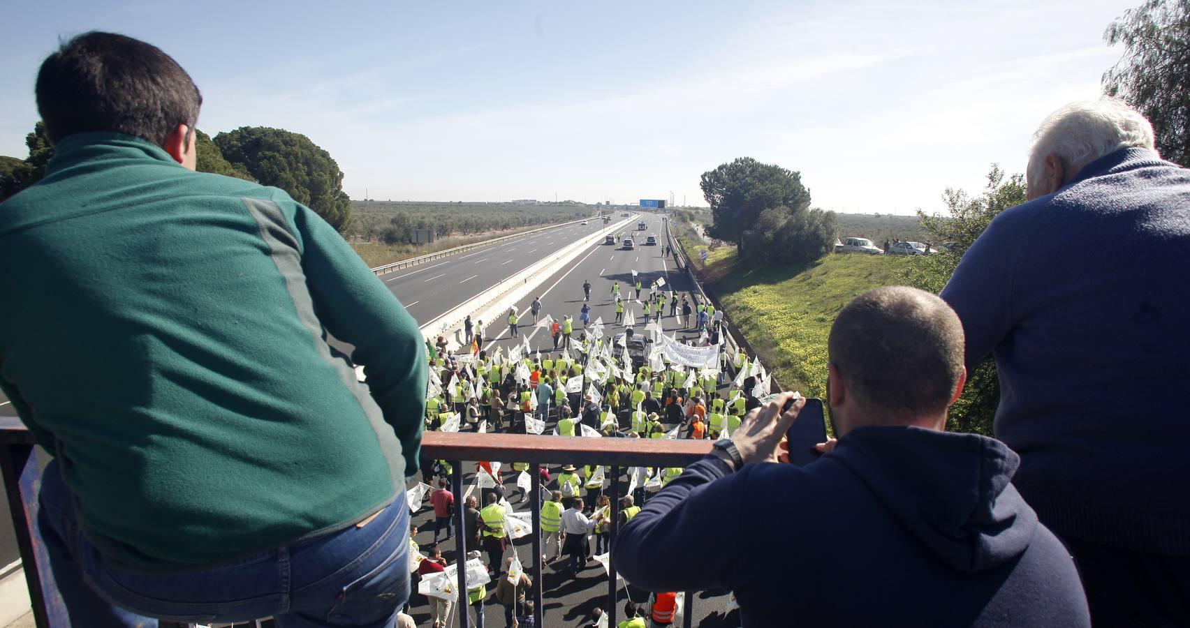 La tractorada corta la autovía que une Sevilla y Huelva, la A-49, en imágenes