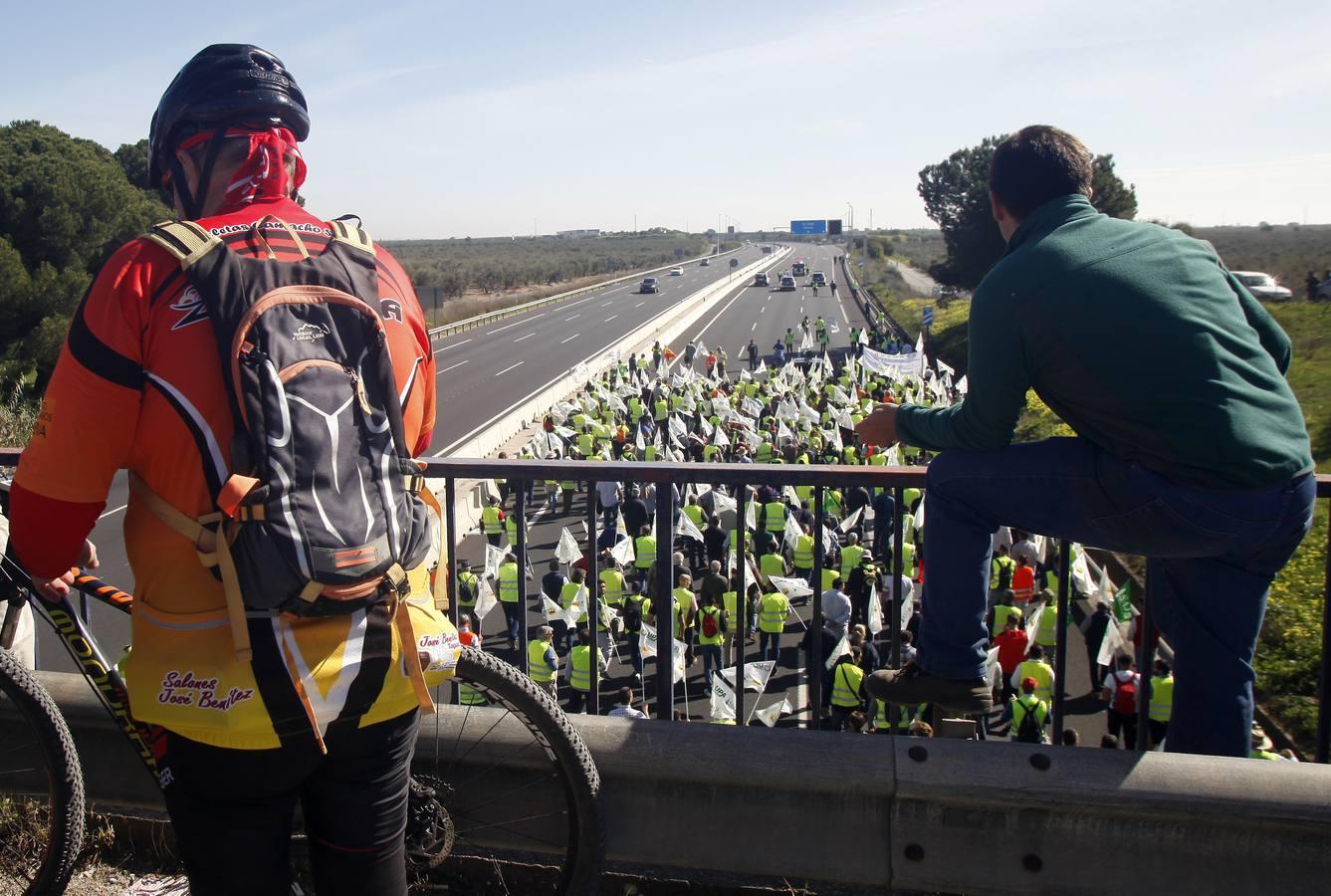 La tractorada corta la autovía que une Sevilla y Huelva, la A-49, en imágenes