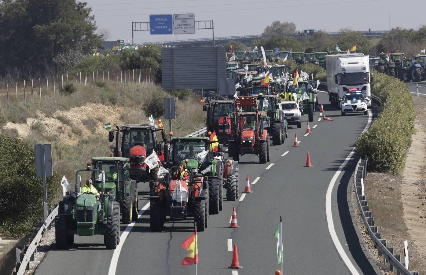 En imágenes, la tractorada de agricultores en la autovía A-4