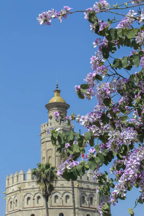 Los diez monumentos de Sevilla más espectaculares