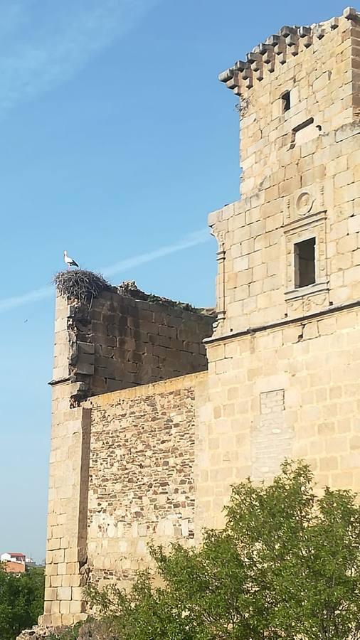 Las visitas al Castillo de Belalcázar con motivo del 28-F, en imágenes