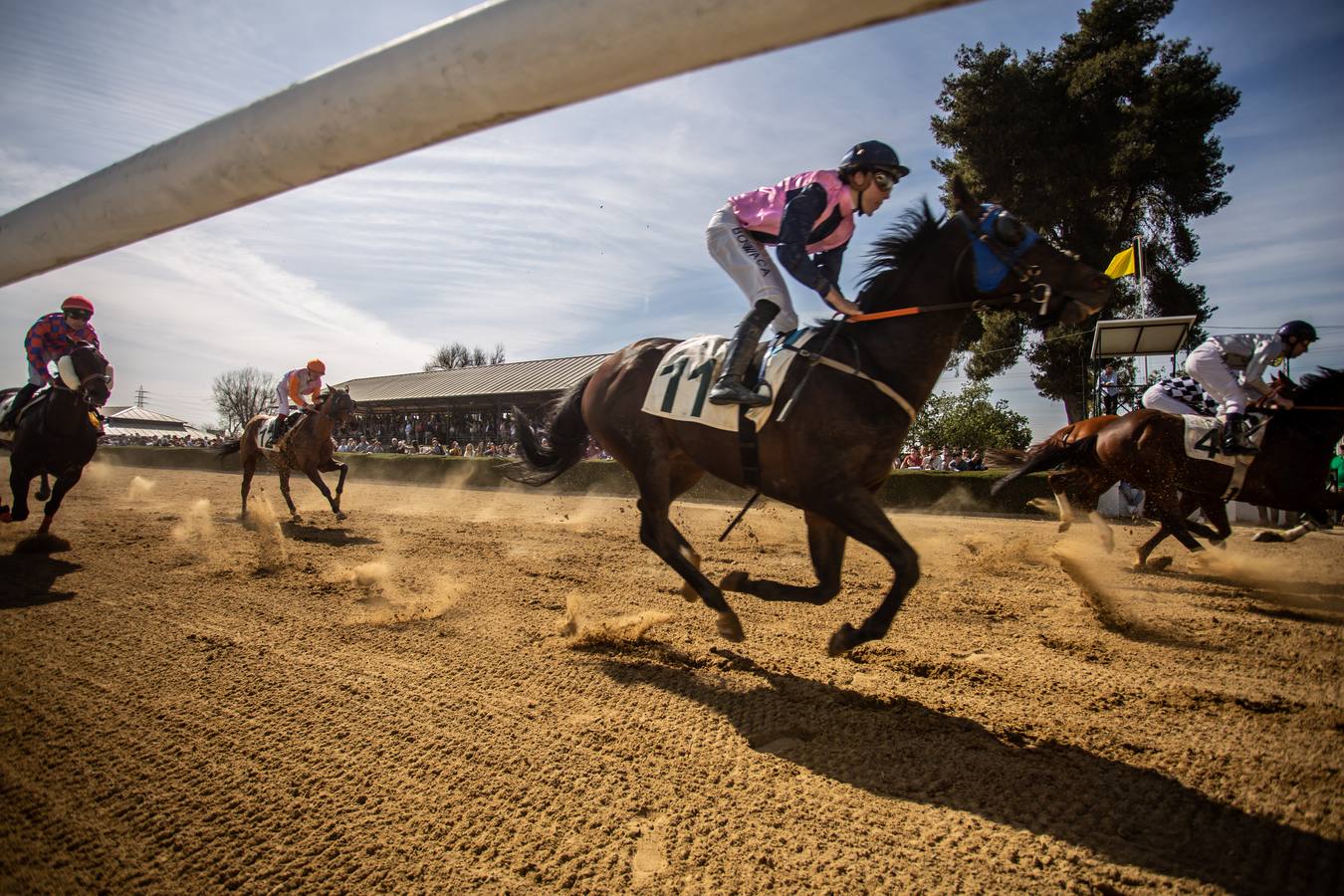 En imágenes, el inicio de las carreras de caballos de Pineda