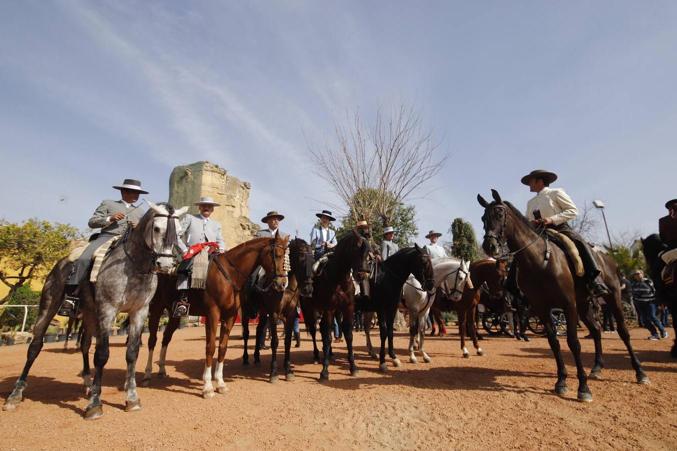 Más de 200 caballos recorren las calles de Córdoba en una Marcha Hípica llena de color