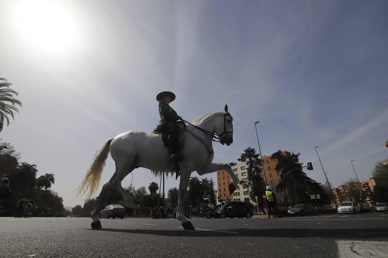 La Marcha Hípica Córdoba a Caballo, en imágenes