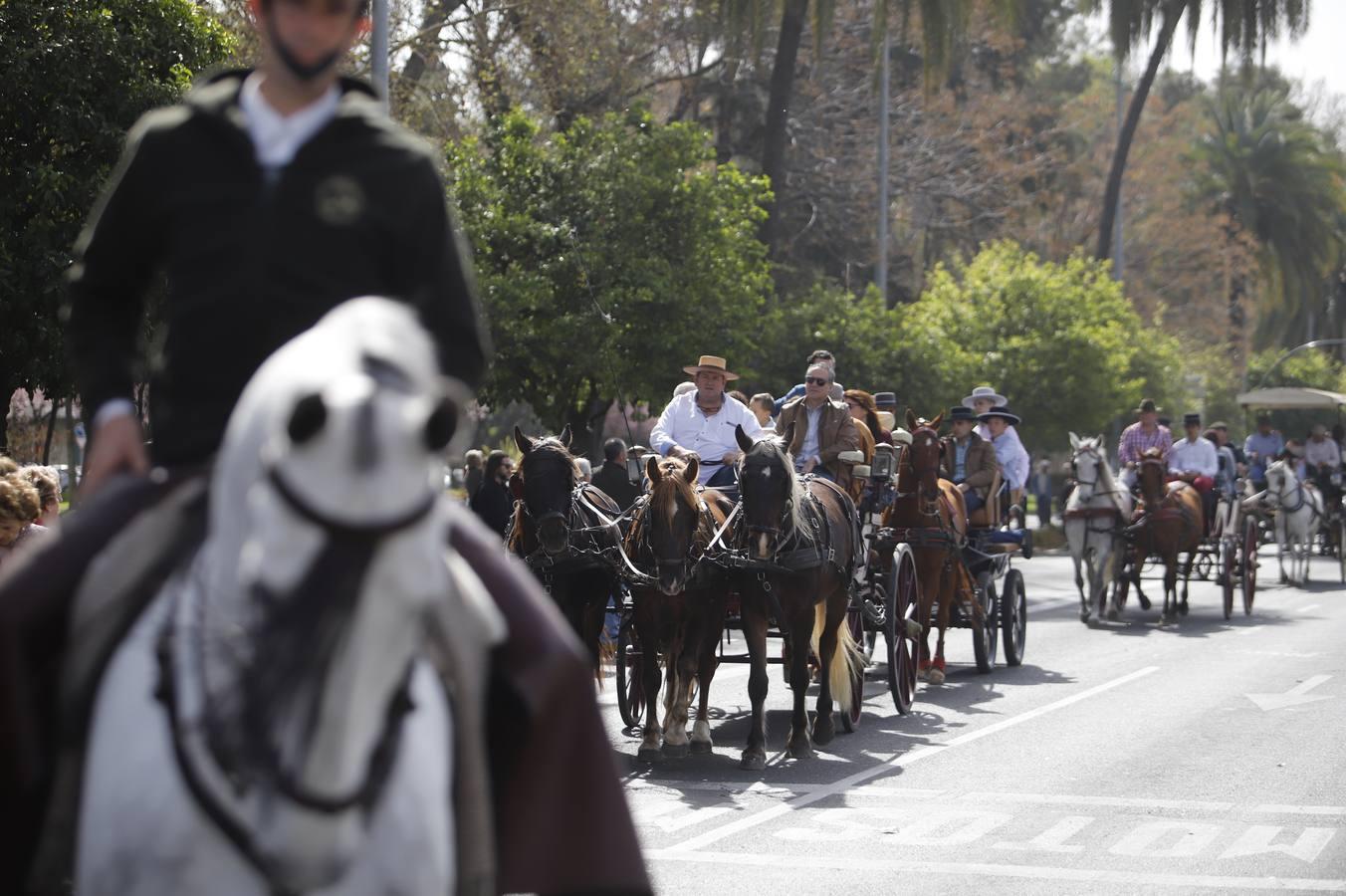 La Marcha Hípica Córdoba a Caballo, en imágenes