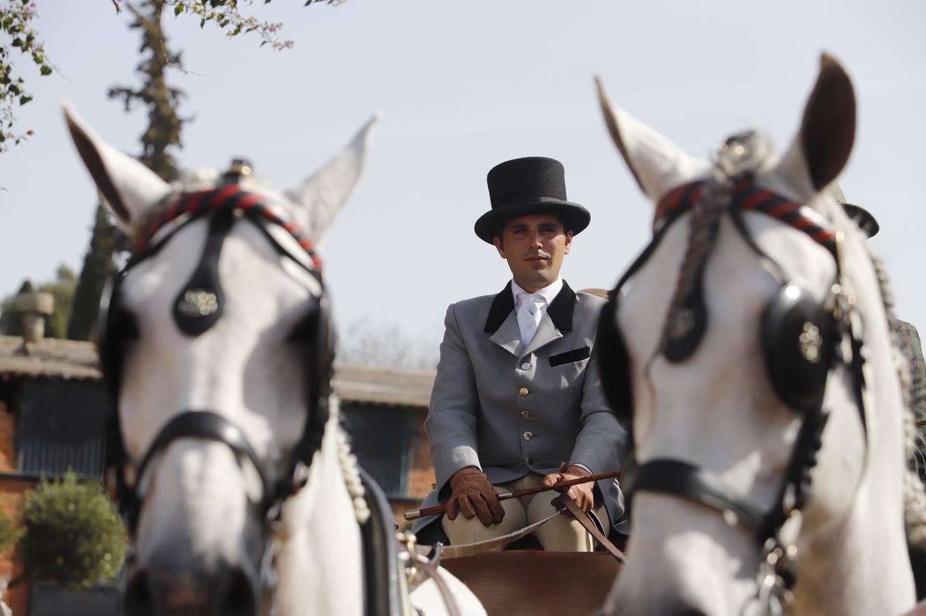 La Marcha Hípica Córdoba a Caballo, en imágenes