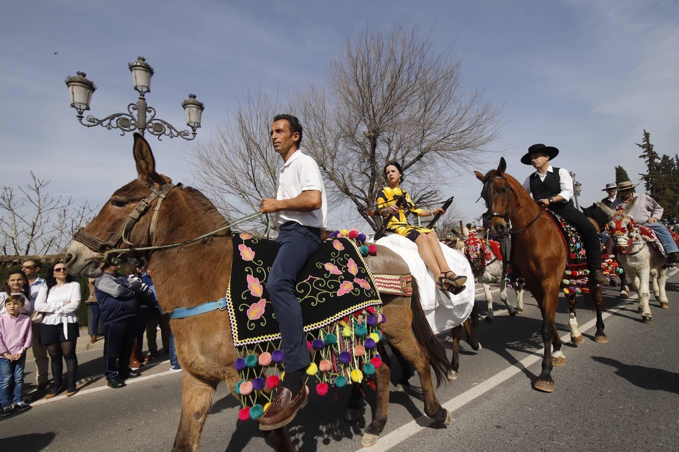 La Marcha Hípica Córdoba a Caballo, en imágenes