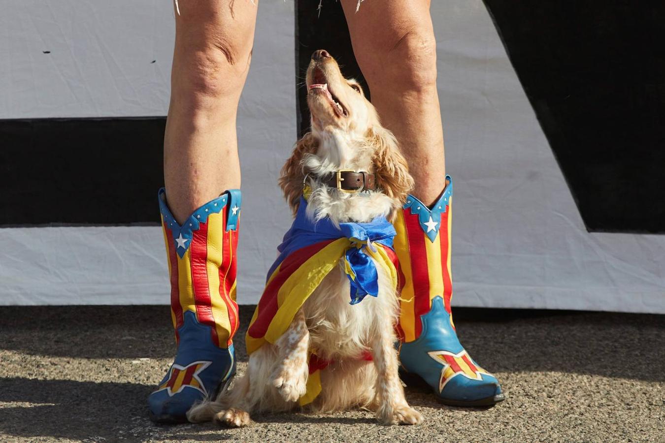 El independentismo recibe a Puigdemont en Francia con una manifestación multitudinaria