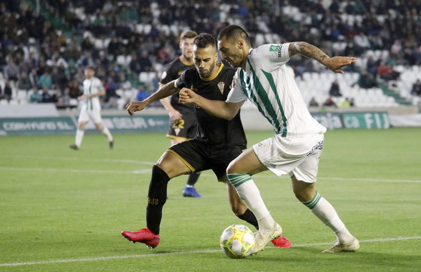 Las mejores imágenes del Córdoba CF-Algeciras CF