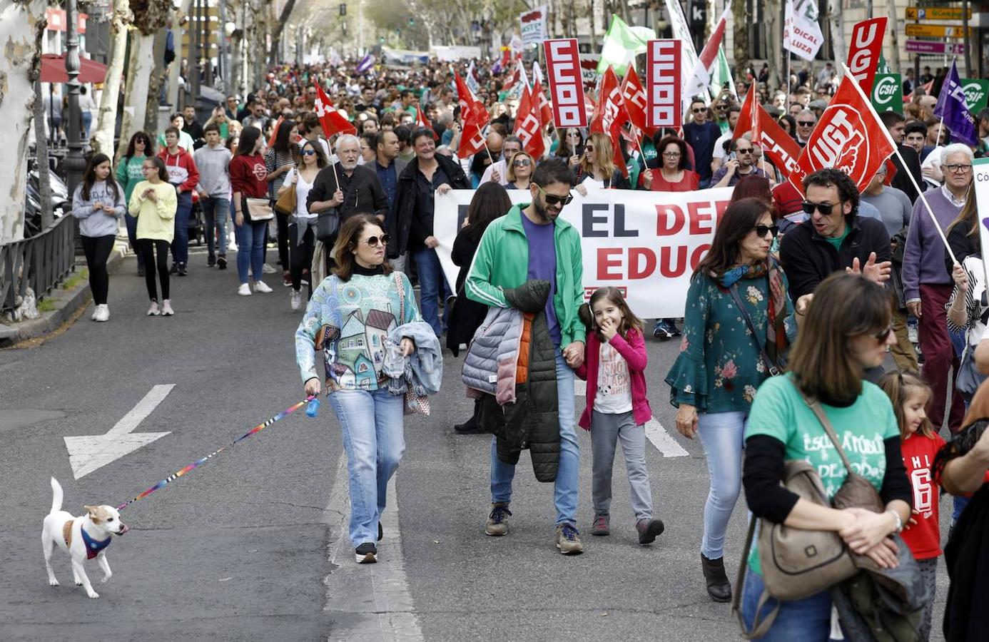 La manifestación en Córdoba contra el decreto de escolarización, en imágenes