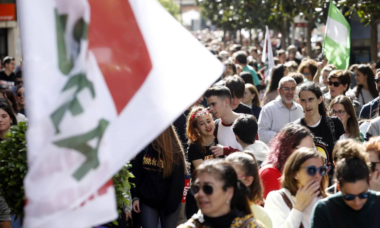 La manifestación en Córdoba contra el decreto de escolarización, en imágenes